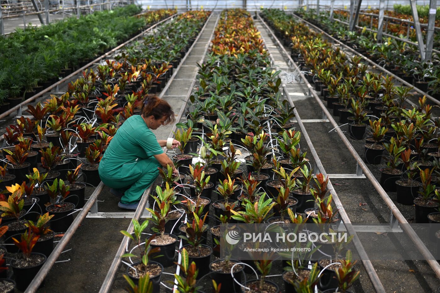 Работа агрокомплекса в Новосибирской области
