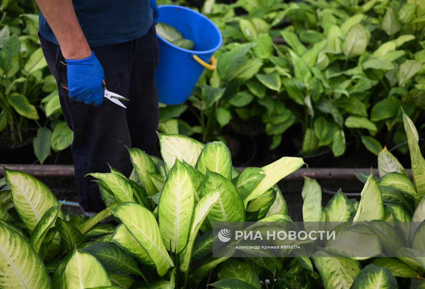 Работа агрокомплекса в Новосибирской области