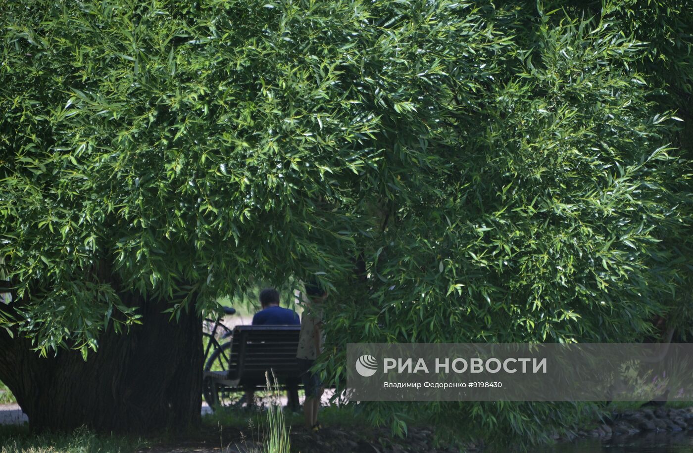 Лето в Москве