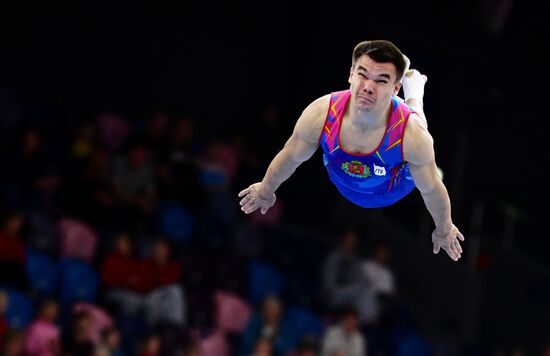 Чемпионат России по спортивной гимнастике. Мужчины. Финалы