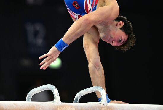 Чемпионат России по спортивной гимнастике. Мужчины. Финалы