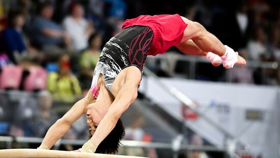 Чемпионат России по спортивной гимнастике. Мужчины. Финалы