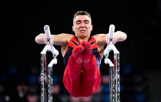 Чемпионат России по спортивной гимнастике. Мужчины. Финалы