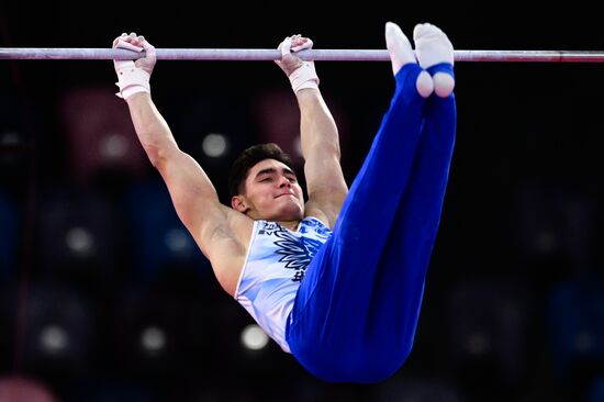 Чемпионат России по спортивной гимнастике. Мужчины. Финалы