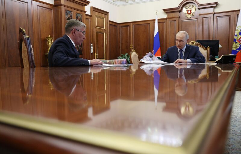 Президент Владимир Путин встретился с губернатором Тульской области Дмитрием Миляевым