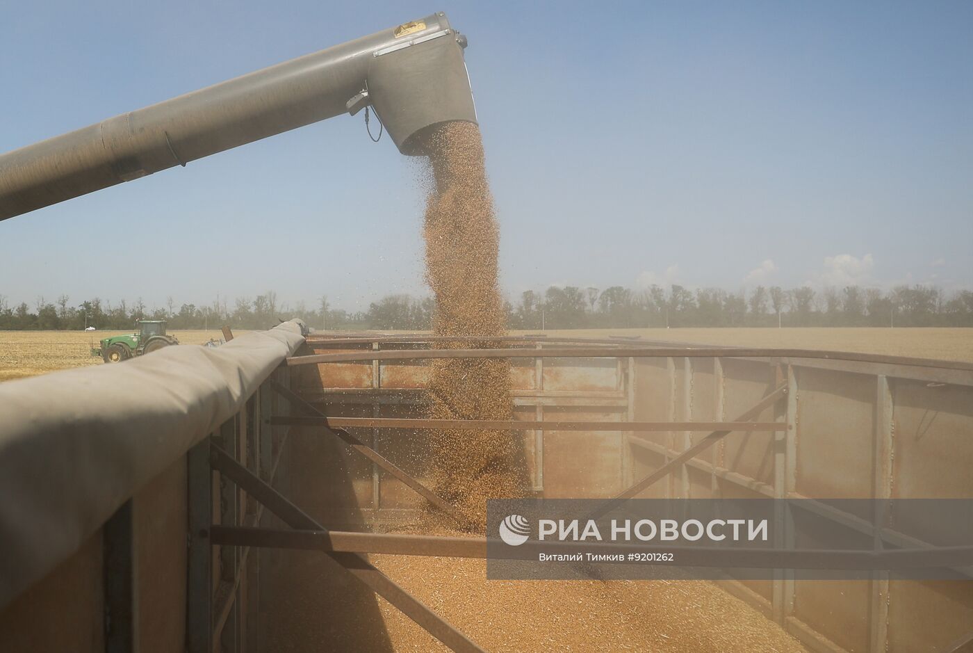 Уборка пшеницы в Краснодарском крае