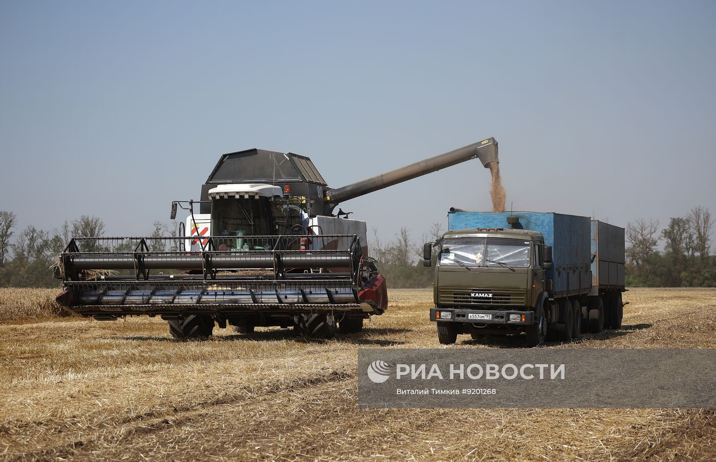 Уборка пшеницы в Краснодарском крае