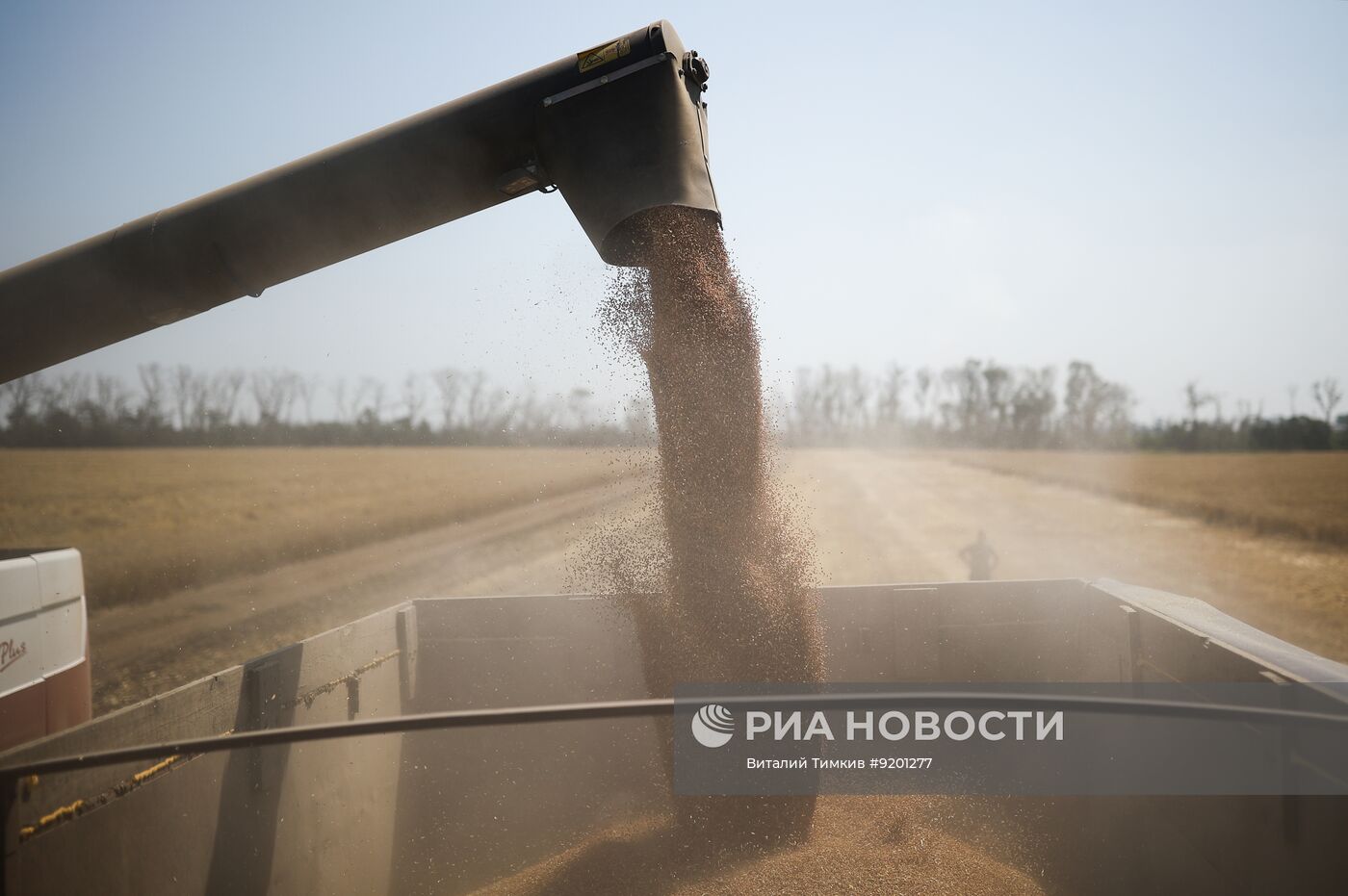 Уборка пшеницы в Краснодарском крае