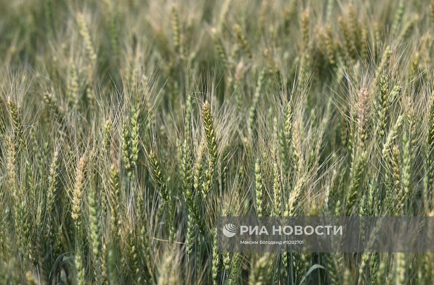 Международная агропромышленная выставка "Агроволга 2026" в Татарстане