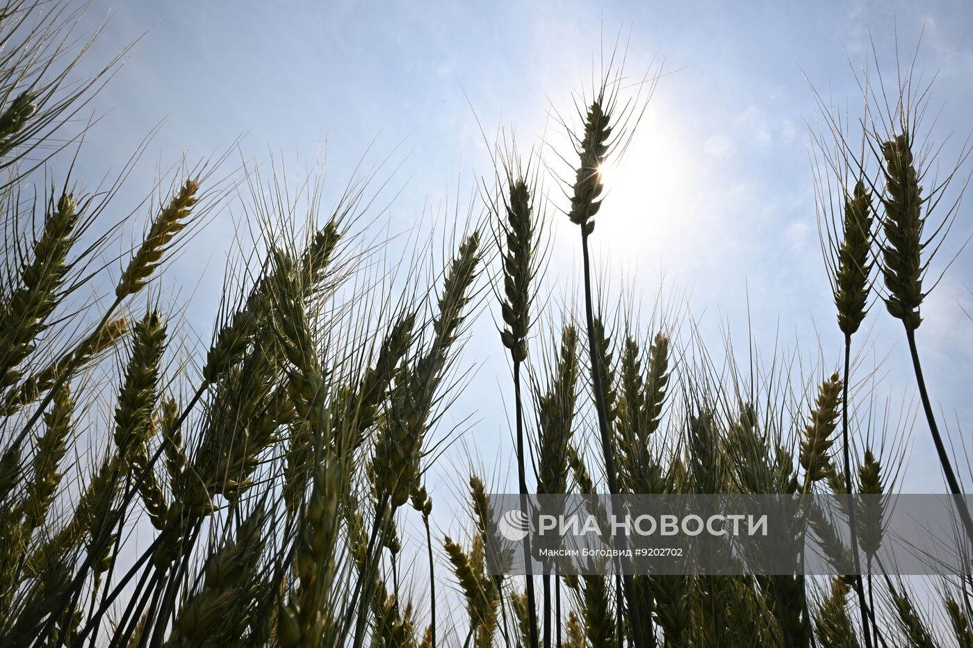 Международная агропромышленная выставка "Агроволга 2026" в Татарстане