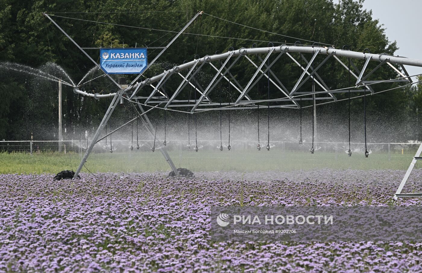 Международная агропромышленная выставка "Агроволга 2026" в Татарстане