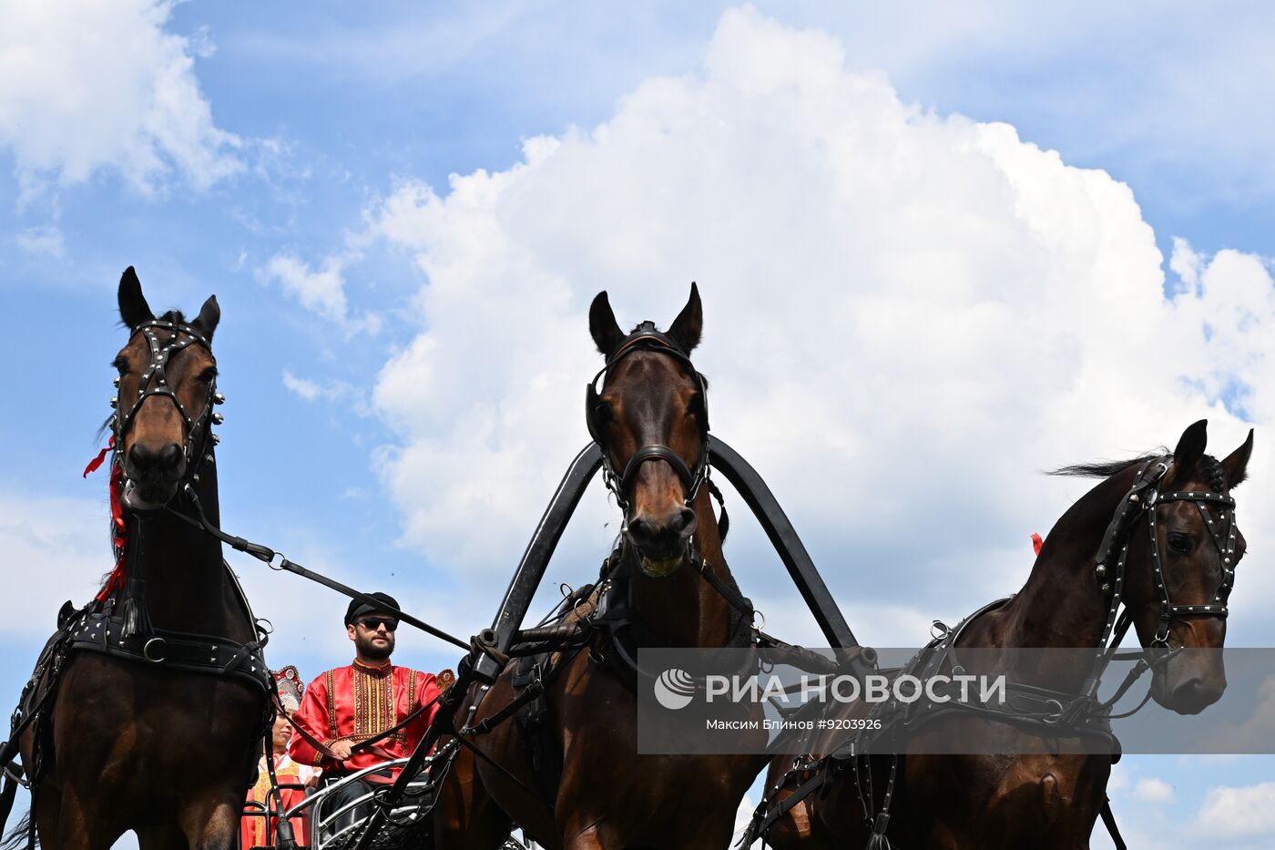 Чемпионат русских любительских троек "ТройкаГрад" во Владимирской области
