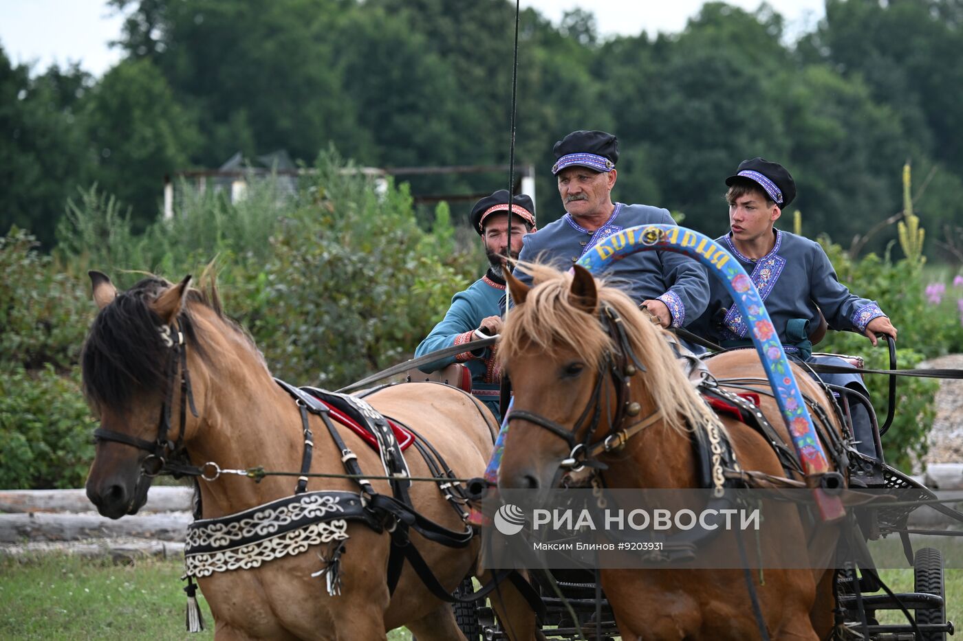 Чемпионат русских любительских троек "ТройкаГрад" во Владимирской области