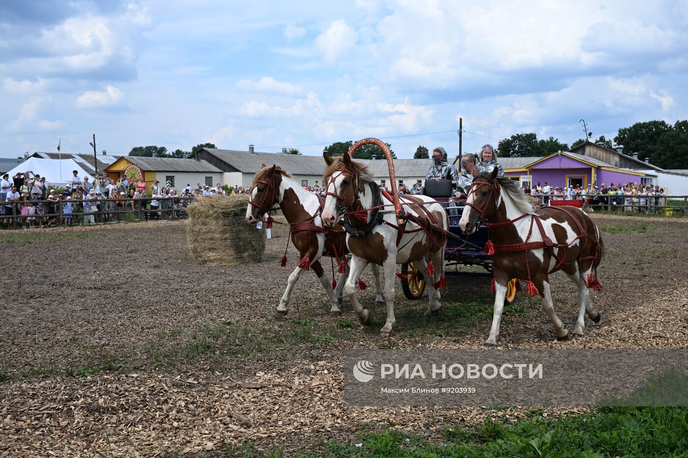 Чемпионат русских любительских троек "ТройкаГрад" во Владимирской области