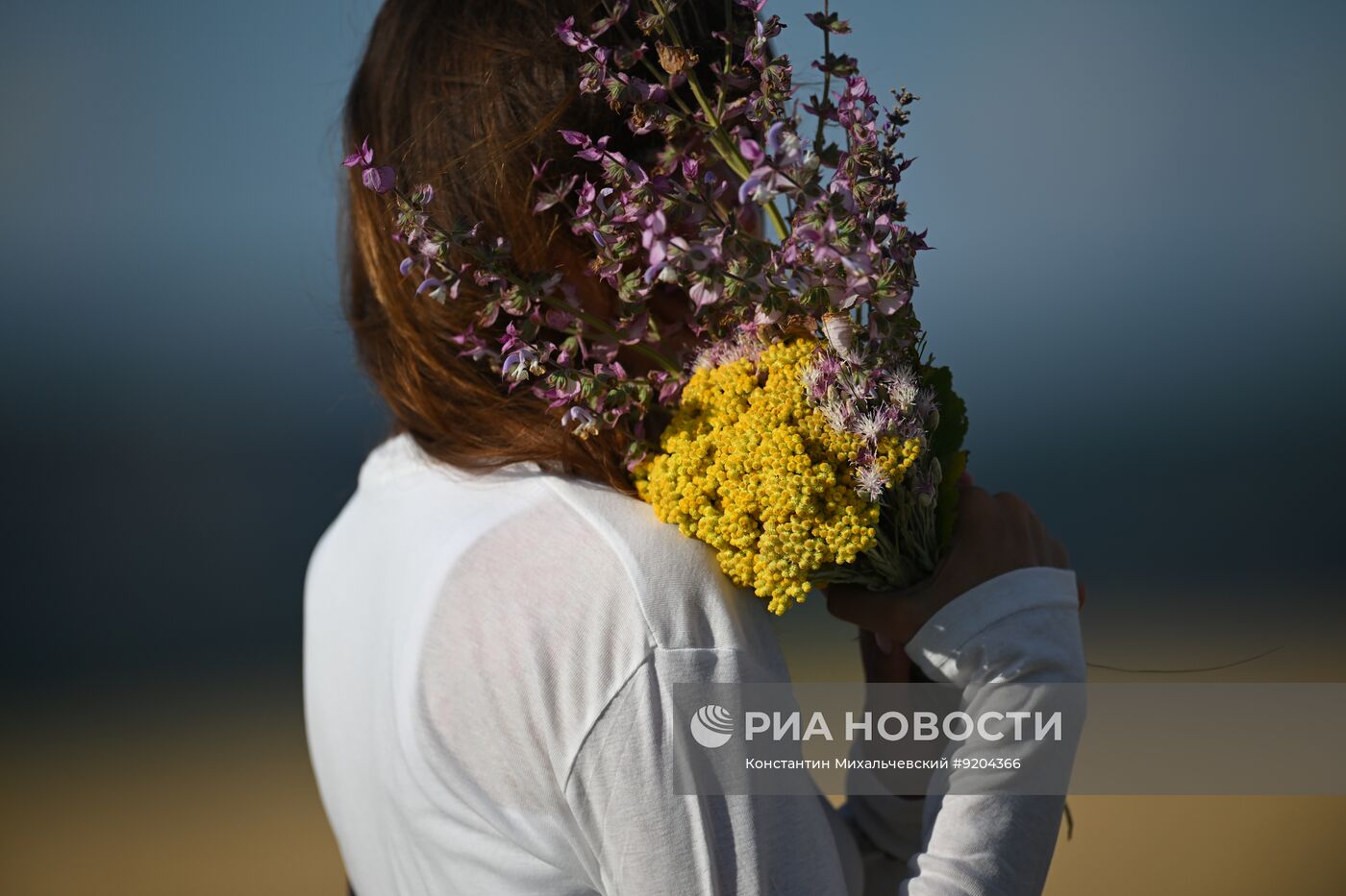 Лавандовые поля в Крыму