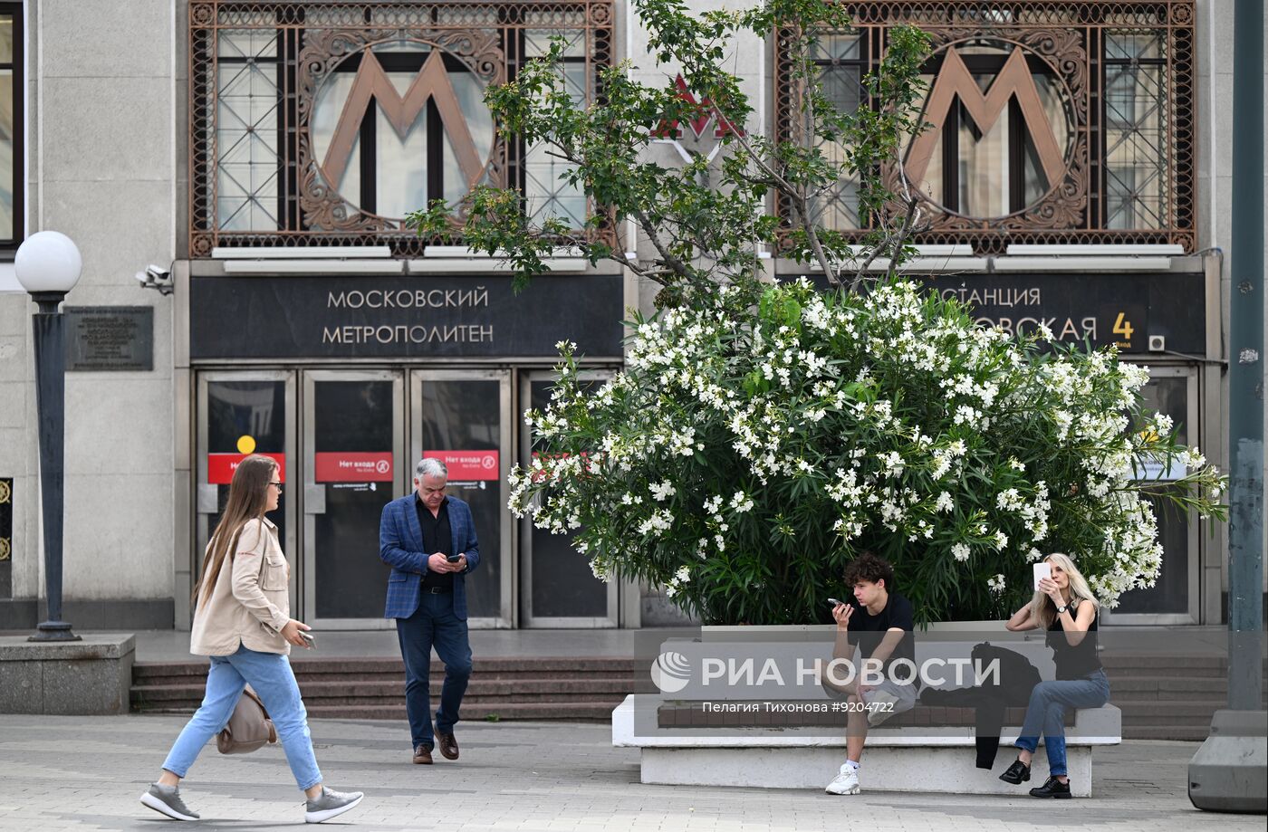 Повседневная жизнь в Москве