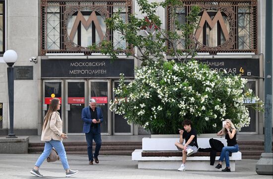 Повседневная жизнь в Москве
