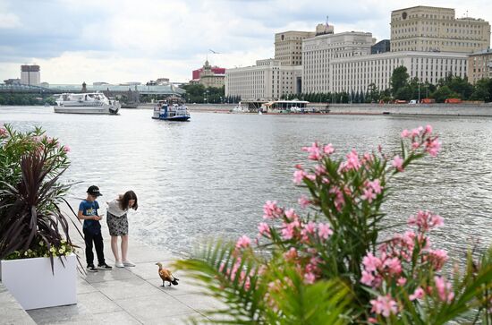 Повседневная жизнь в Москве