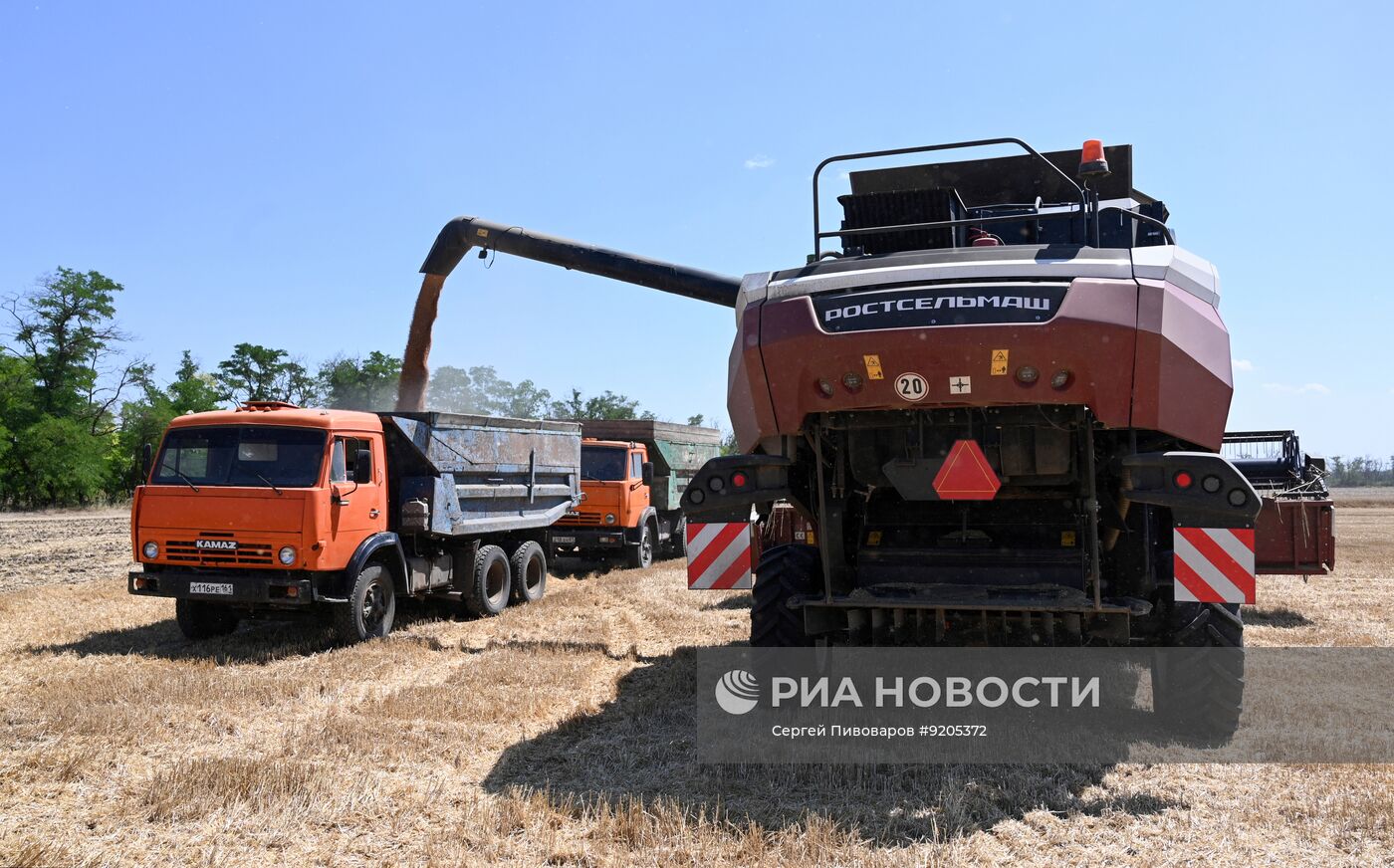 Уборка пшеницы в Ростовской области