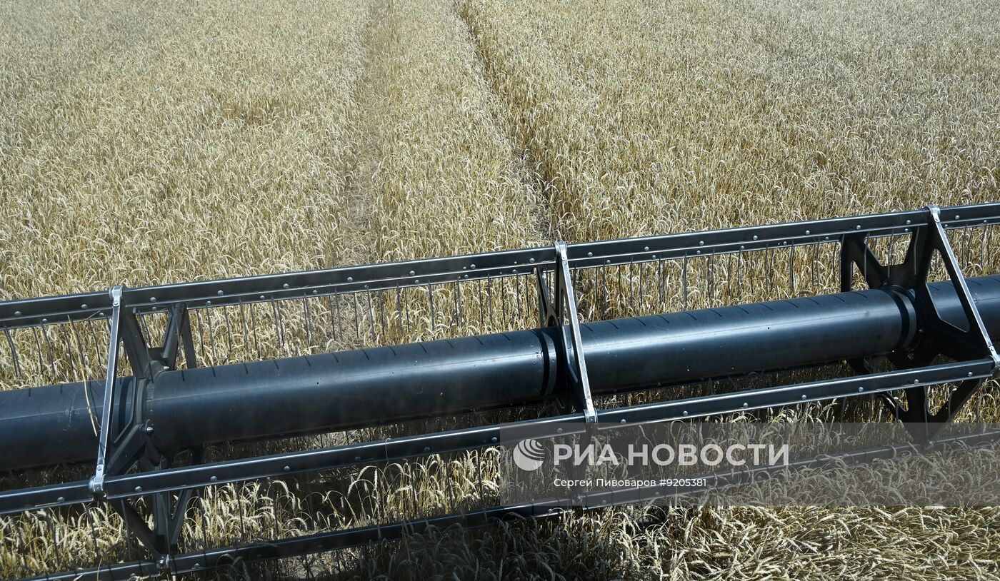 Уборка пшеницы в Ростовской области