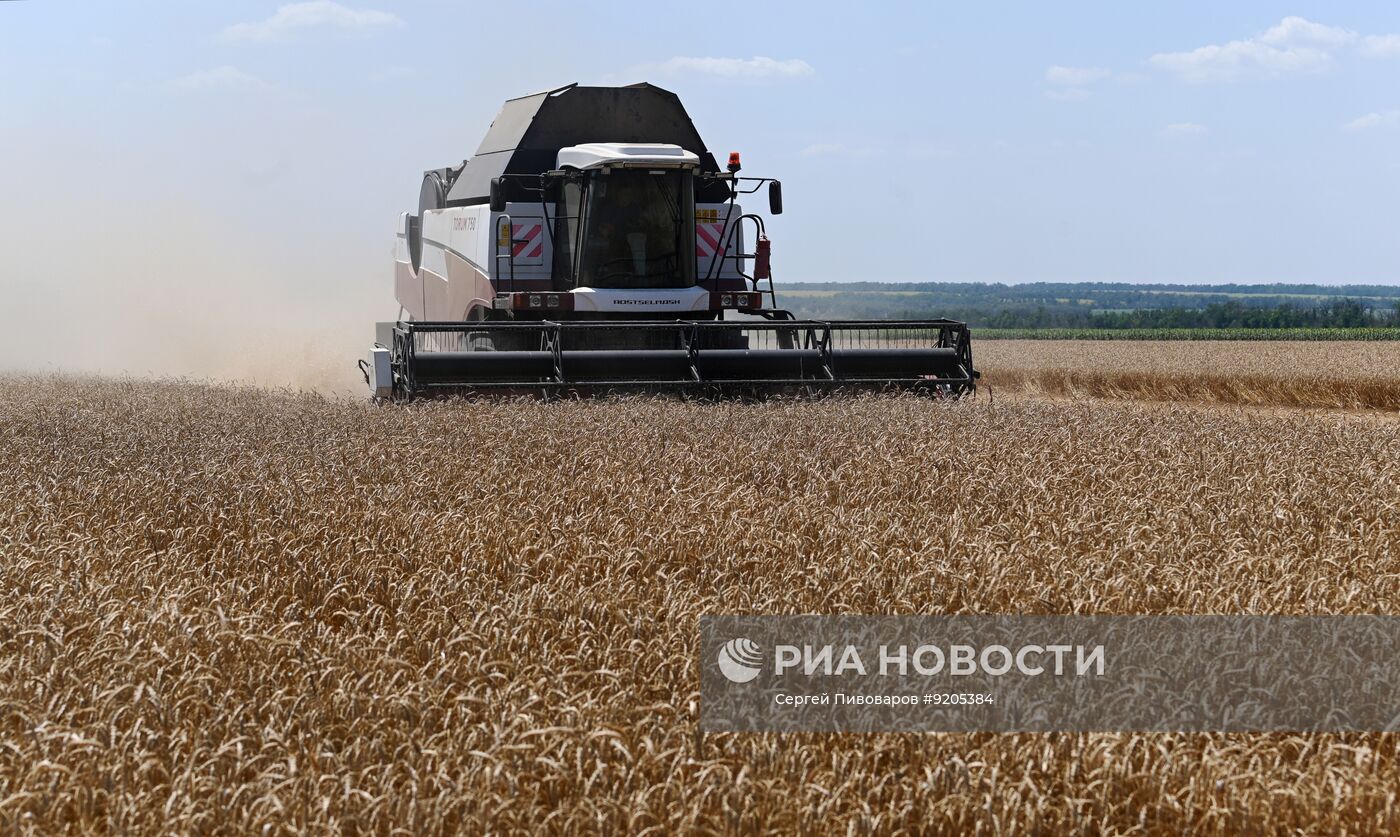 Уборка пшеницы в Ростовской области