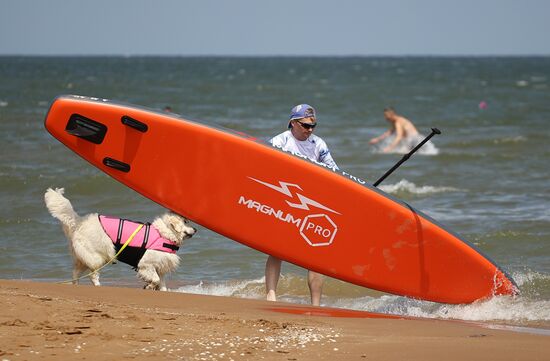 Отдых на Азовском море в Краснодарском крае