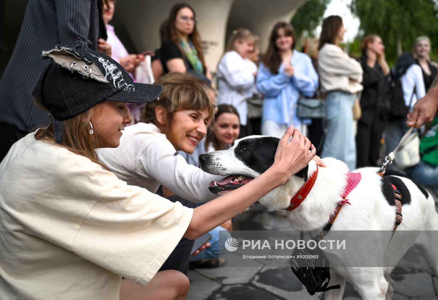 Парад собак в Москве в рамках Международного кинофестиваля "Белый Бим"