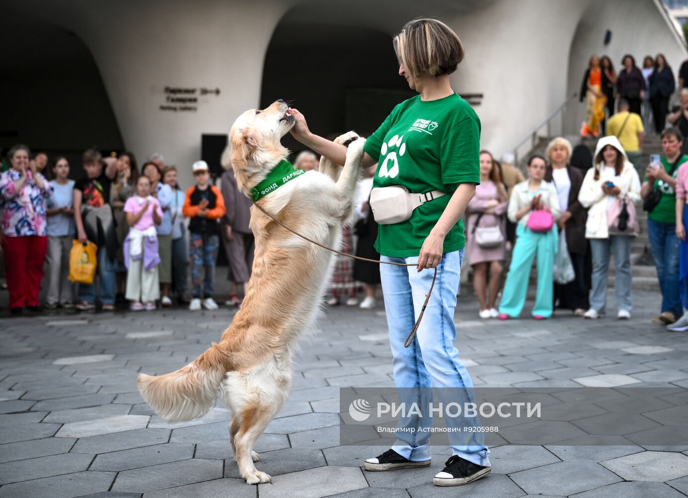 Парад собак в Москве в рамках Международного кинофестиваля "Белый Бим"