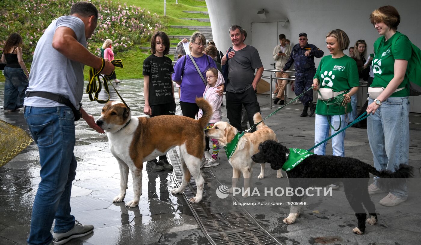 Парад собак в Москве в рамках Международного кинофестиваля "Белый Бим"