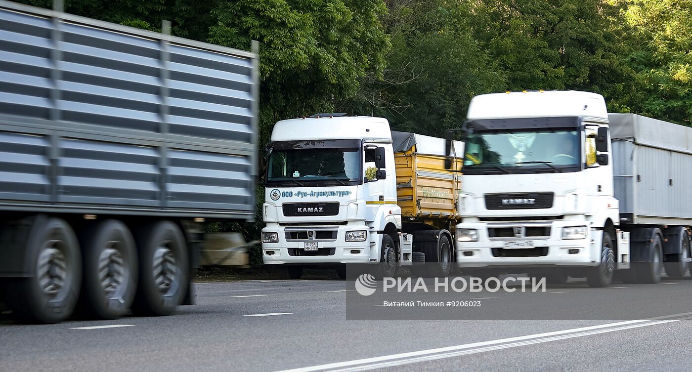 Стоянка зерновозов в Краснодарском крае
