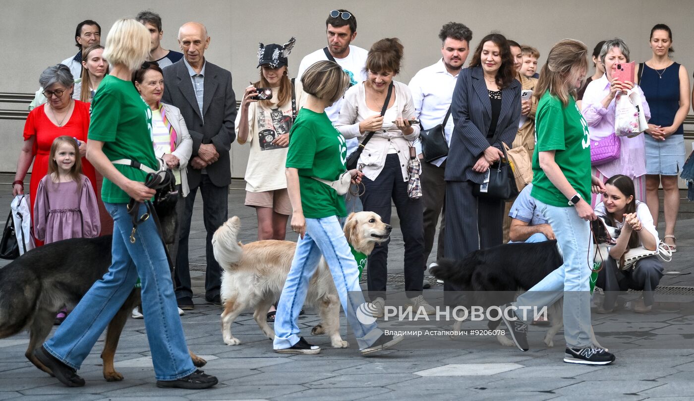 Парад собак в Москве в рамках Международного кинофестиваля "Белый Бим"
