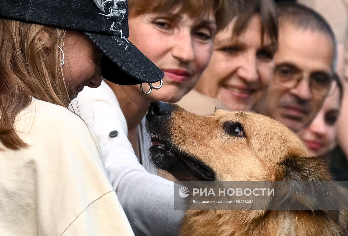 Парад собак в Москве в рамках Международного кинофестиваля "Белый Бим"