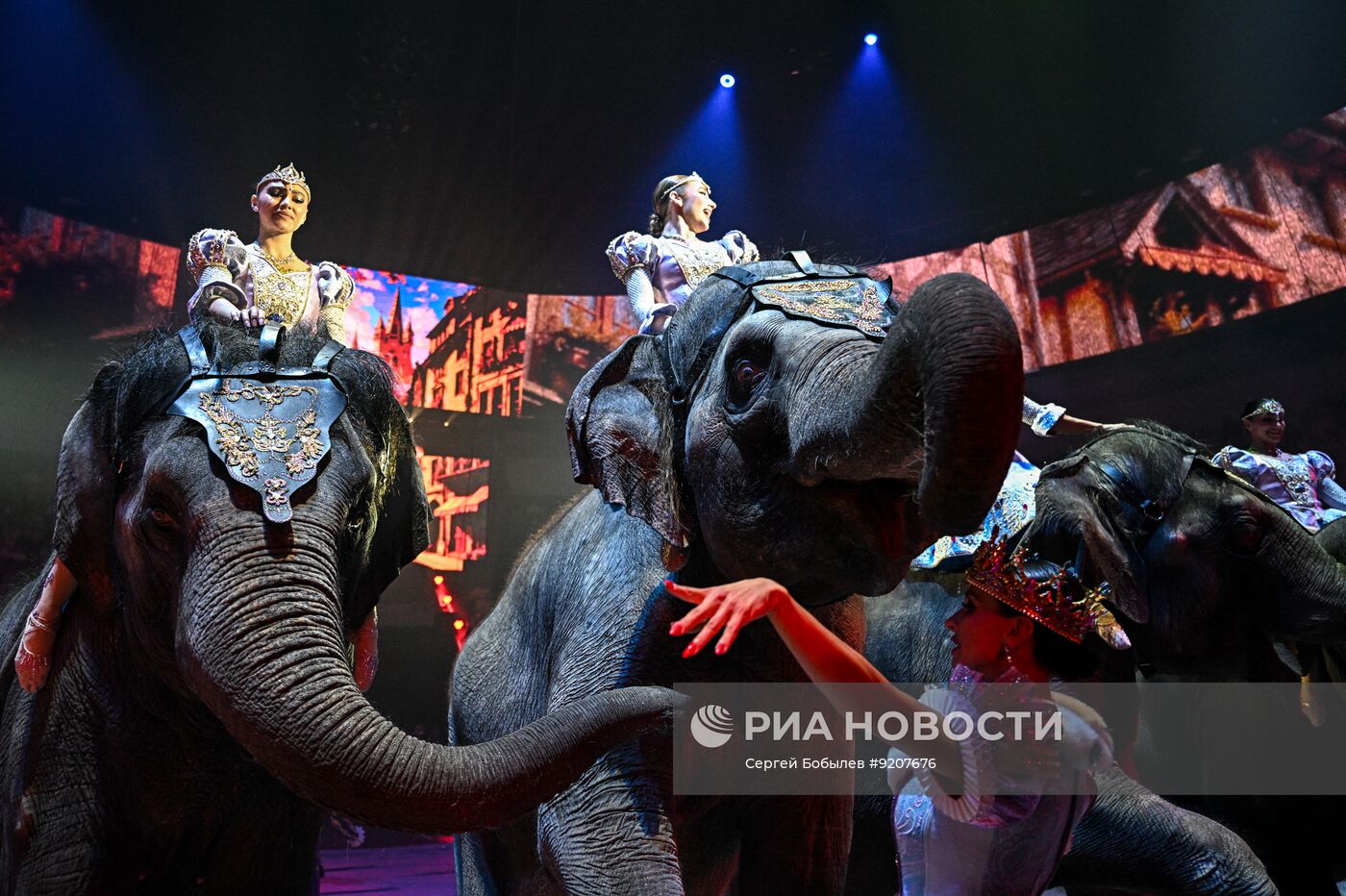 Премьера программы "Совсем Большой" в Большом Московском цирке