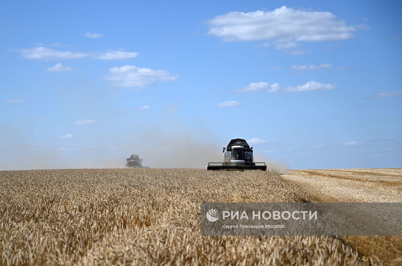 Уборка пшеницы в Ростовской области