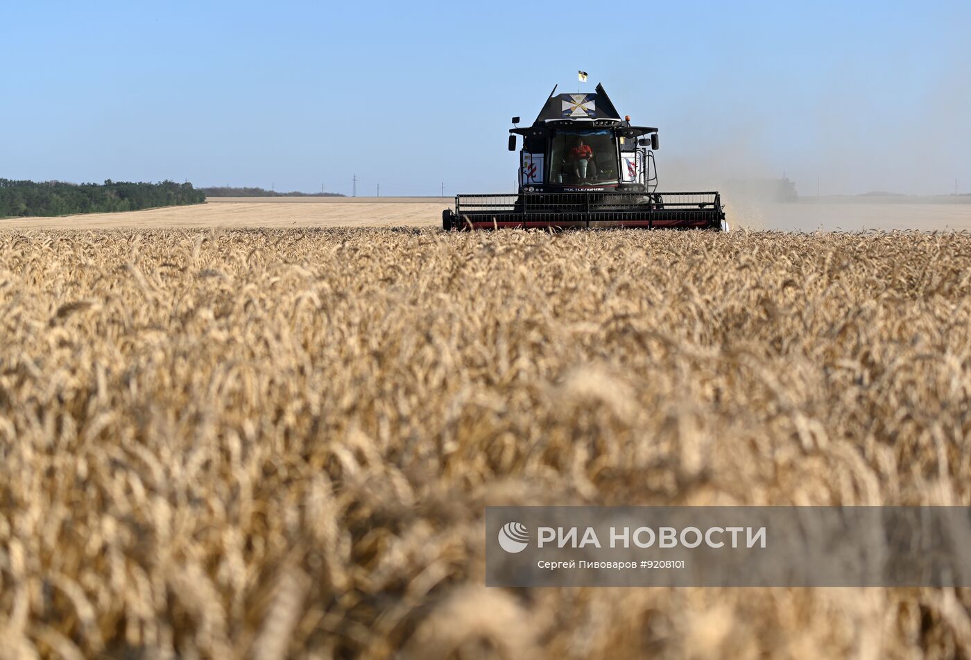 Уборка пшеницы в Ростовской области