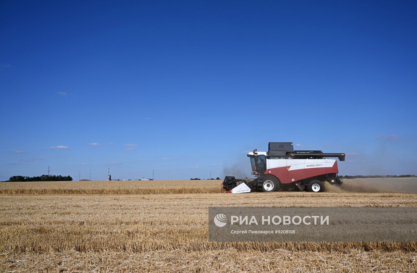 Уборка пшеницы в Ростовской области