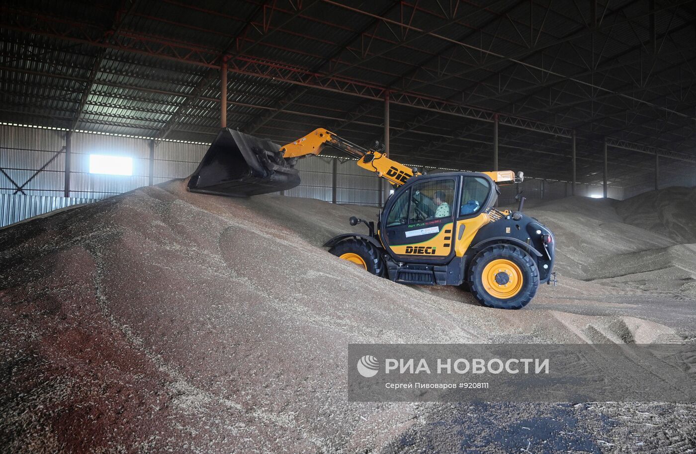 Уборка пшеницы в Ростовской области