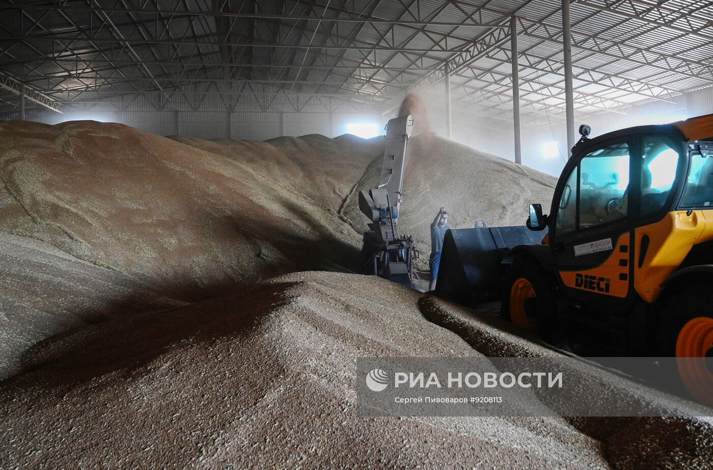 Уборка пшеницы в Ростовской области