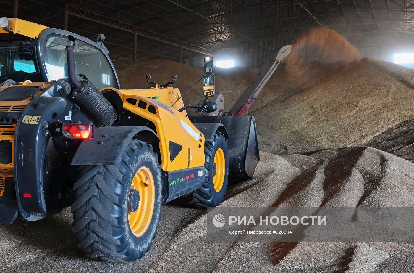 Уборка пшеницы в Ростовской области