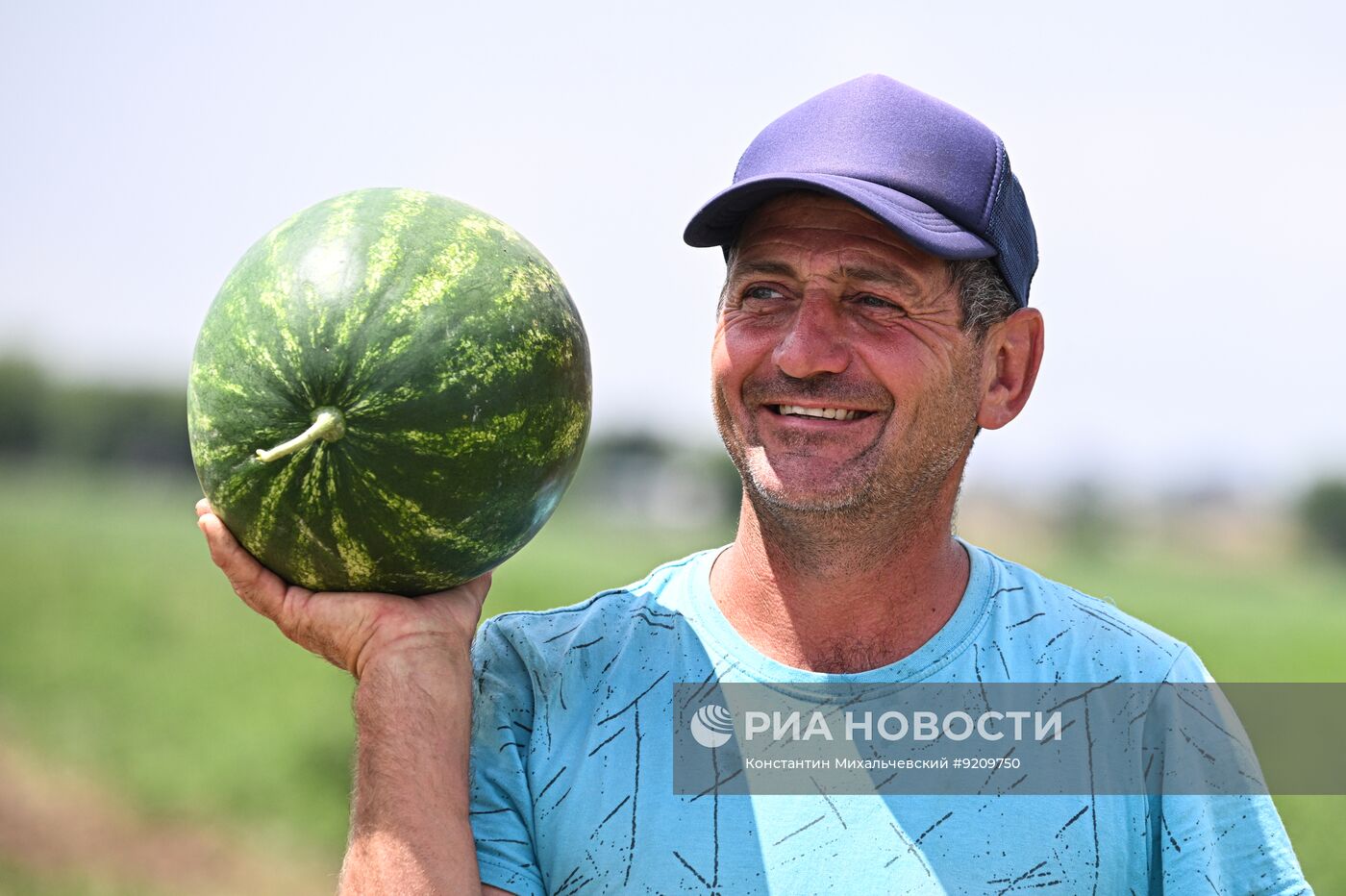 Сбор урожая бахчевых в Крыму