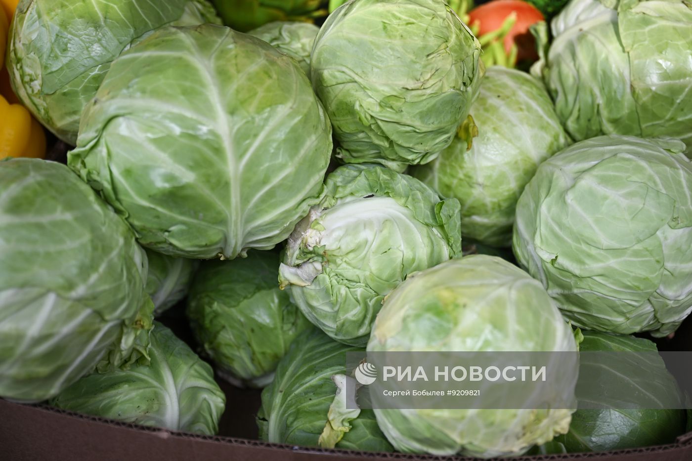 Продажа овощей и фруктов на Преображенском рынке в Москве