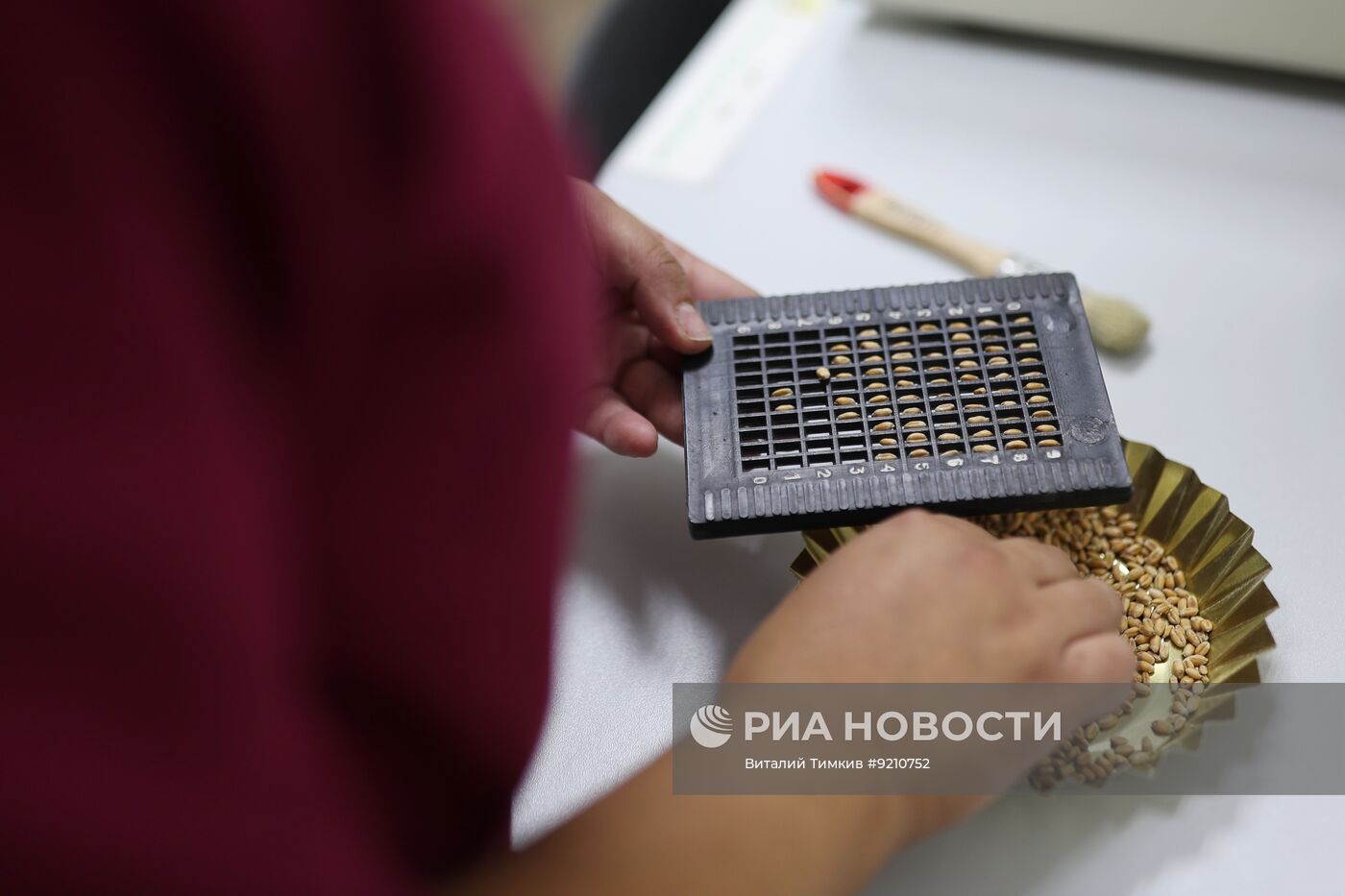 Работа зернового элеватора в Краснодарском крае