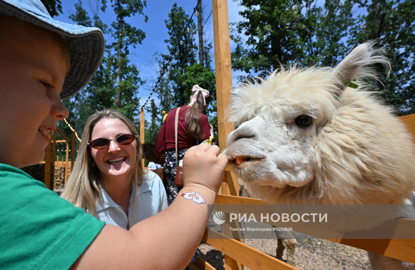 В Донецке открылся парк альпак
