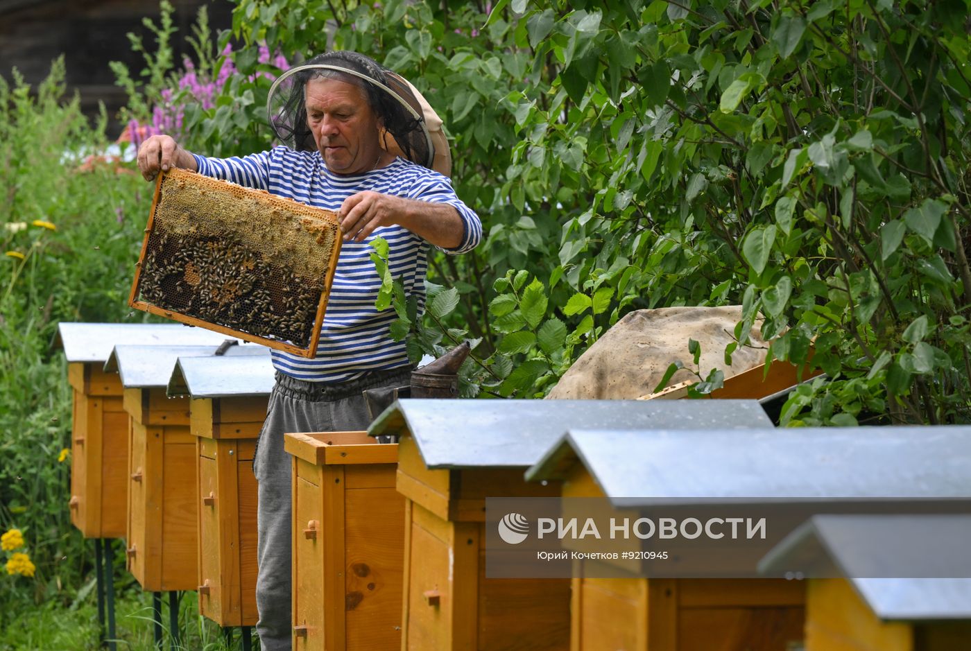 Повседневная жизнь во Владимирской области