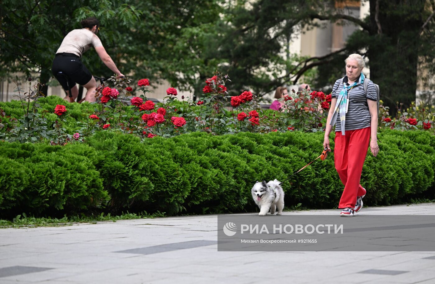 Повседневная жизнь в Москве