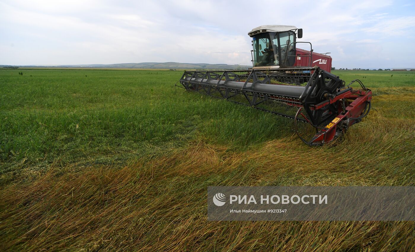 Заготовка кормов для животноводства в Красноярском крае