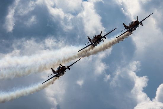 Авиашоу "Вива, авиа!" в Новосибирской области