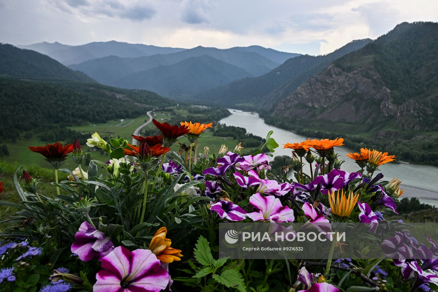 Регионы России. Республика Алтай