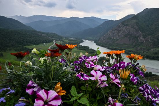 Регионы России. Республика Алтай
