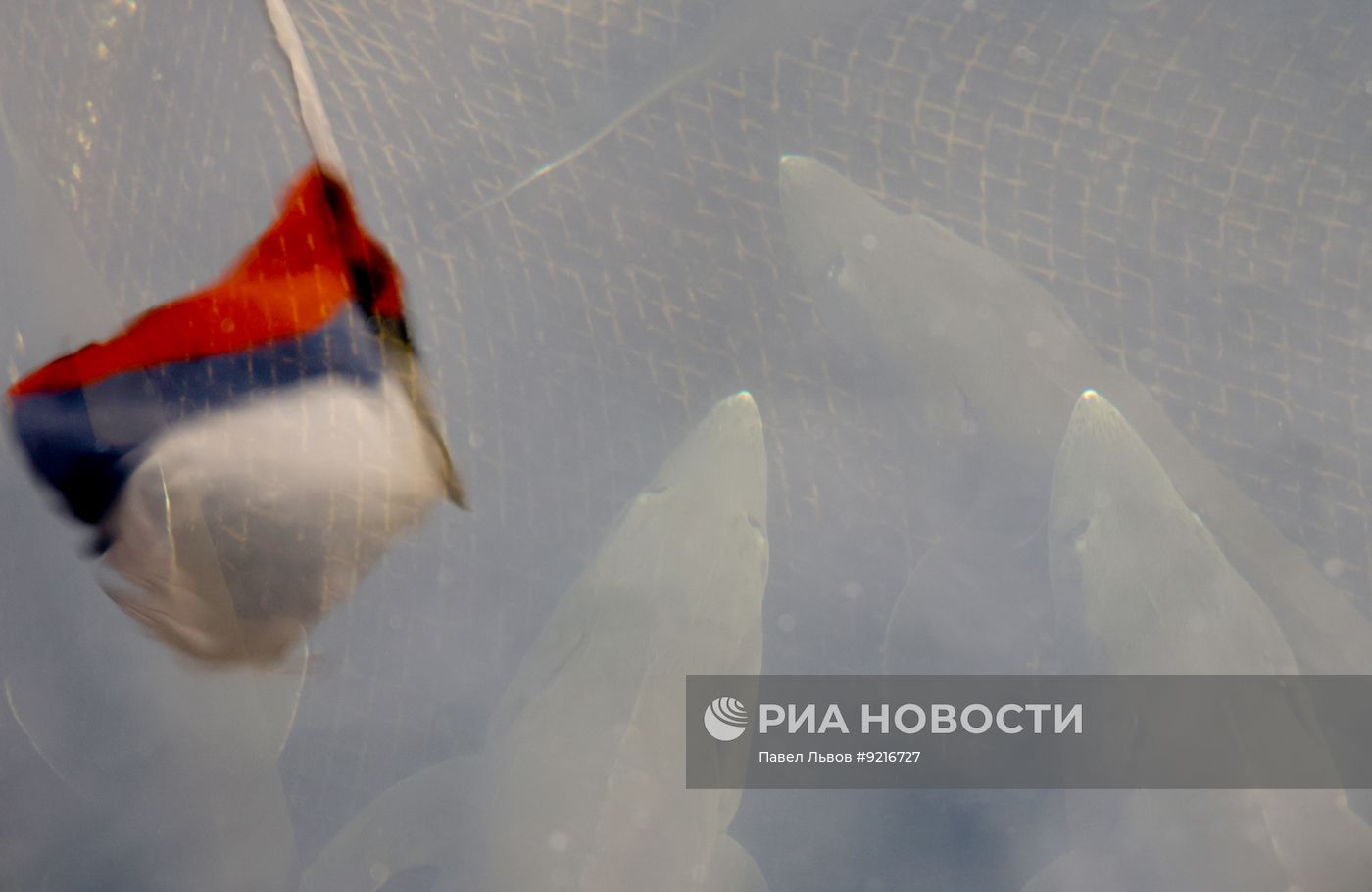 Рыбное хозяйство в Мурманской области